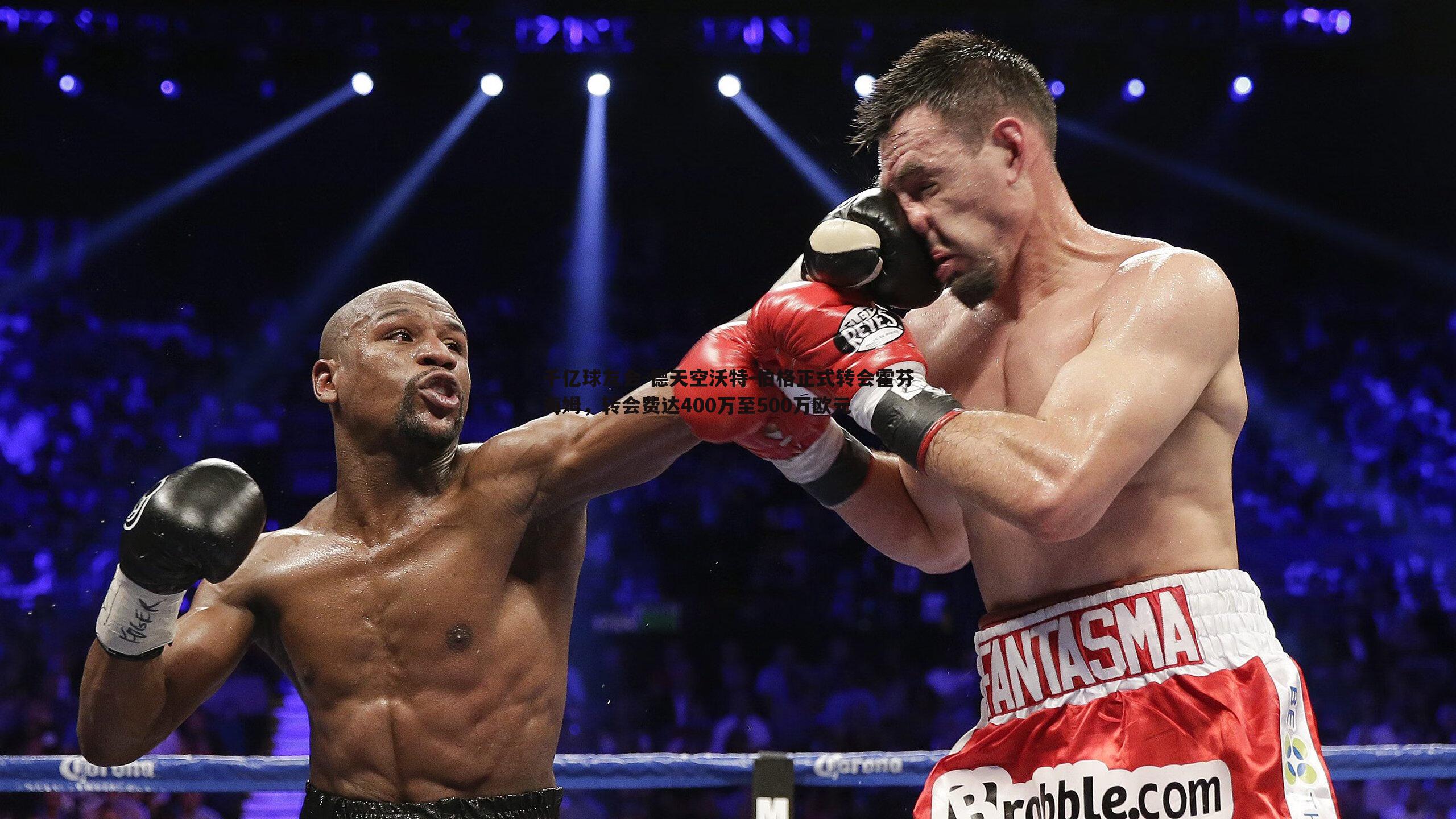 德天空沃特-伯格正式转会霍芬海姆，转会费达400万至500万欧元